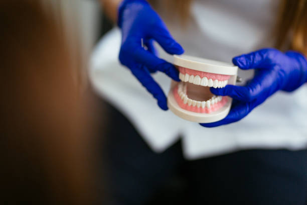 Why Choose Us for Your Dental Needs in River Forest, IL